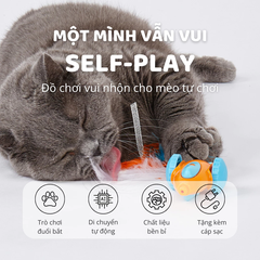 Đồ chơi xe đua tự động cho mèo FOFOS