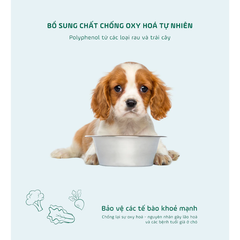 Thức ăn cho chó Natural Core ECO1 Thịt Cừu 1kg