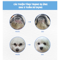 Thức ăn cho chó Natural Core Bị Dị Ứng 800g (Mealworm)