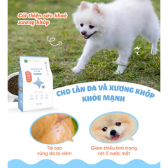 Thức ăn cho chó Natural Core Bị Dị Ứng 800g (Mealworm)