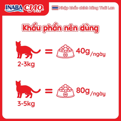Pate cho mèo INABA CIAO gói 40g