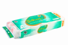 Giấy V/S Hà Nội 3 lớp Xanh - không lõi (10 cuộn/dây x 10 dây/thùng)