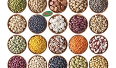 Các loại đậu phổ biến - đóng gói 500gr -5kg - 10kg