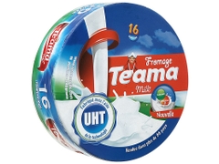 Phomai tam giác teama 16 miếng