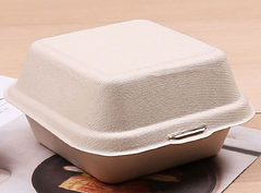 Hộp bã mía 50c/lốc 15.3*15.3*8cm