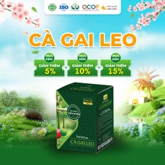 Cà gai leo