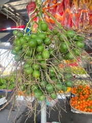 HKD Nguyễn Thị Hoa - 0379867758
