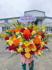 HKD Nguyễn Văn Nhân - 0977227877