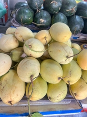 HKD Nguyễn Thị Hoa - 0379867758