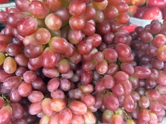 HKD Nguyễn Thị Hoa - 0379867758