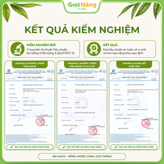 Granola Không Chiên Vẫn Ngon 450 g