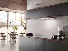 Máy hút mùi Miele DAS 2622 Living
