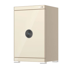 Két sắt Philips SBX602