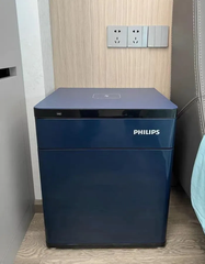 Két sắt Philips SBX301