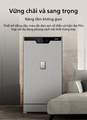 Két sắt Philips SBX702