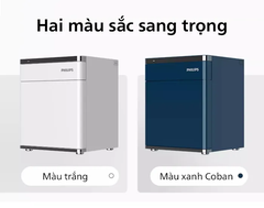 Két sắt Philips SBX301