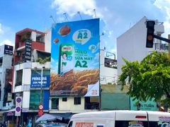Billboard 251 Dương Bá Trạc