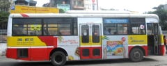 Buýt Tỉnh