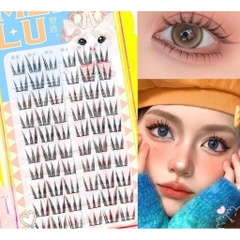 [JARY] Lông mi cụm JARY có Sẵn Keo phong cách vuốt mèo tự nhiên dễ gắn tái sử dụng nhiều lần