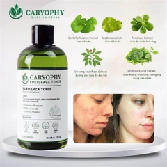 [CARYOPHY] Nước cân bằng Caryophy Portulaca Toner không cồn cho da mụn 300m (Hàng Công Ty)