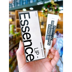 Son Dưỡng Môi HETRAS Mango Seed Butter Lip Essence 13g