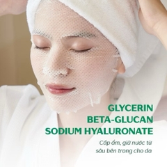 Hộp 10 mặt nạ Caryophy Portulaca Mask Sheet dưỡng ẩm giảm mụn mờ thâm