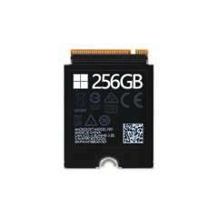 SSD Surface Pro 8