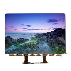 Màn hình MacBook Pro 2018 13 inch A1989 màn rời chính hãng GENA