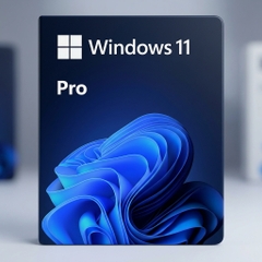 Phần mềm Microsoft Windows Pro 11 64Bit Eng Intl 1pk DSP OEI DVD (FQC-10528)