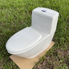 Bồn cầu 1 khối dòng Projectline GROHE 39316000