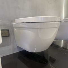 Bồn cầu treo tường Eurosmart GROHE 39205000