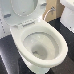 Bồn cầu 2 khối INAX C-117VA (C117VA) xả gạt nắp thường