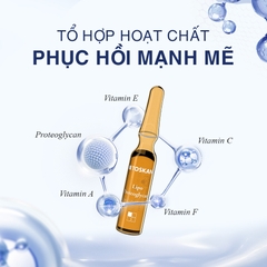 Toskani - Lipo Proteoglycans 15x2ml (Cty) - ống lẻ