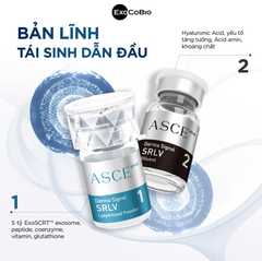 Asce Plus Derma Signal Kit (Cty)