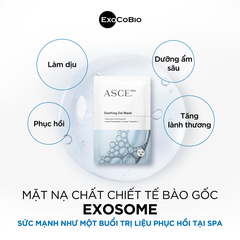 Mặt Nạ Asce Hộp 3 Miếng (Cty)