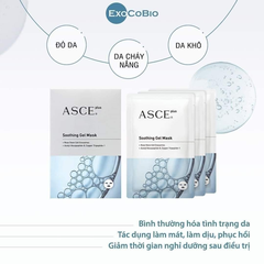 Mặt Nạ Asce Hộp 3 Miếng (Cty)