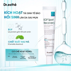 Dr esthe EGF Spot Recovery Kem Tái Tạo Da 15ml (CTY)