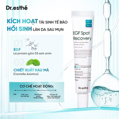 Dr esthe EGF Spot Recovery Kem Tái Tạo Da 15ml (CTY)
