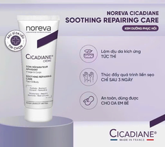 Noreva Kem dưỡng phục hồi Da Cicadian Creme Soothing Repairing Care 40ml (CTY)