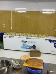 Tủ đông dung tích lớn Hòa Phát Inverter HPF AD81190 1218 DÀN ĐỒNG lít