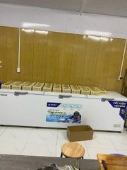Tủ đông dung tích lớn Hòa Phát Inverter HPF AD81190 1218 DÀN ĐỒNG lít