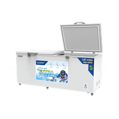 Tủ đông dung tích lớn Hòa Phát HPF AD6544.1 556 lít DÀN ĐỒNG