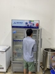 Tủ mát trưng bày Hòa Phát Inverter HSR D8526 526 lít DÀN ĐỒNG
