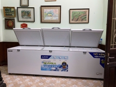 Tủ đông dung tích lớn Hòa Phát HPF AD61190.1 1218 lít DÀN ĐỒNG
