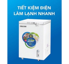 Tủ đông mini Hòa Phát HPF AN6107 107 lít