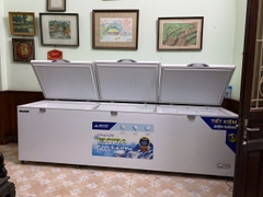Tủ đông dung tích lớn Hòa Phát HPF AD61190.1 1218 lít DÀN ĐỒNG