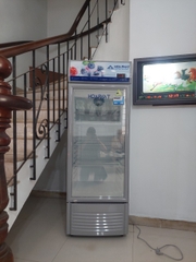 Tủ mát Hòa Phát HSR D6195 195 lít DÀN ĐỒNG