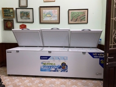 Tủ đông dung tích lớn Hòa Phát HPF AD61190.1 1218 lít DÀN ĐỒNG