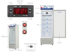 Tủ mát Hòa Phát HSR D6280 280 lít DÀN ĐỒNG