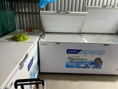 Tủ đông dung tích lớn Hòa Phát HPF AD6783.1 803 lít DÀN ĐỒNG